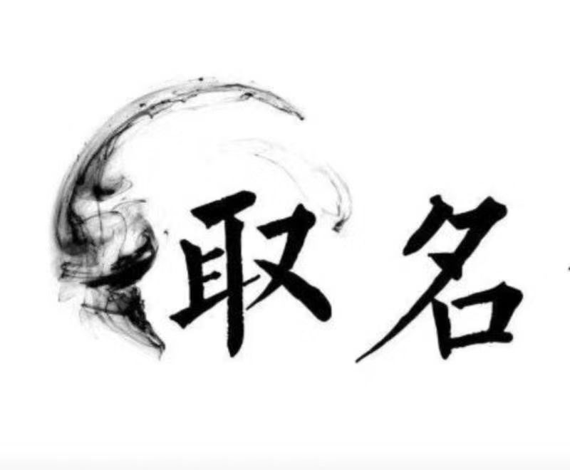  竞秀宝宝取名 大师一对一人工起名